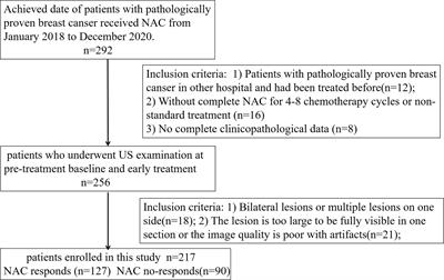 Treatment Response Prediction Using Ultrasound-Based Pre-, Post-Early, and Delta Radiomics in Neoadjuvant Chemotherapy in Breast Cancer